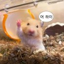 쿼크커피바 | [김해] 율하카페 쿼크커피바 후기(quar.k) 율하카페추천