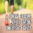 홍남표의 스피닝 매일 30분 - 와사보생(臥死步生) 이미지