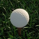 프로 스크린골프 이미지