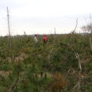 이화봉농장 이미지