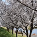 금호강9 이미지