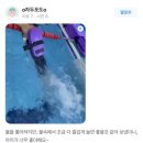 스위밍키즈 태평점 이미지