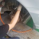 남일모터스 이미지