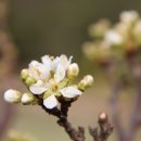 참새농장 이미지