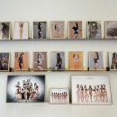 프로바디핏 이미지