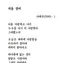 오늘의 시 :겨울 장미 이미지