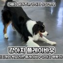 플레이 바우 이미지