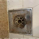 바로클린 네이버블로그