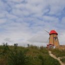 청도매운탕 다슬기 본가 이미지