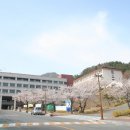 서라벌대학교