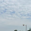 파인파골프클럽 이미지