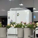 꽃꽃이(플라워테라피) 이미지