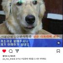 찬돌박이 | [공지] 드디어 2024년 3분기 7월에서 9월까지_최종_최종_최종!