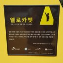 영주초등학교 정문 이미지