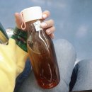 가온비스 이미지