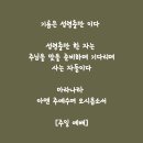 왕의신부들