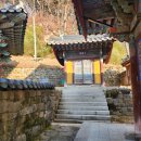 01-24 동구 이미지