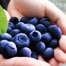 도움푸드 이미지