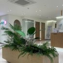 제일정신건강의학과의원 이미지