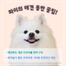 멍펜션12 이미지