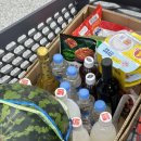 &lt;광고 ❌&gt; 가족 여행으로 다녀온 애견 동반 식당, 포천이동갈비맛집 추천 ::이동강변갈비
