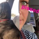 산책동물병원 이미지