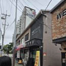 [일상]서울 유기견 유기묘 봉사, 동물구조119 솔직후기