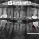 연세바로세움치과의원 이미지