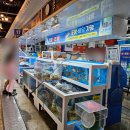 영광센터 16호 이미지