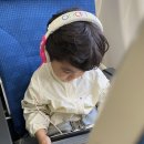 둥이목장 이미지