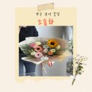 한아름부동산 | 광주 상무지구 감성 꽃집 소솜화 풍성하고 예쁜 하트 꽃바구니 화사함이 가득한 기념일 하트 꽃바구니 후기