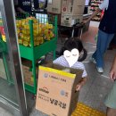 하나로마트사업소(남산농협) | 강원도 영월 법흥계곡 하얀여울캠핑장 5살 아이랑 1박2일 25.6.21~22 ,영월한반도농협하나로마트 후기