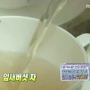잎새로