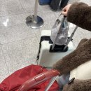 노스랜드투어 | 훗카이도 오비히로 여행 1일차(에어로케이 RF354, 호텔 니코 노스랜드 오비히로, 밤의수프카레집, 이온몰)