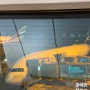 인타운 | 캐세이퍼시픽 홍콩 왕복 후기 (+게이트백 가능 +인타운 체크인)