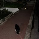 (주)히어코리아 | 일만했어요