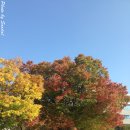 서울과학기술대학교 미술관 이미지