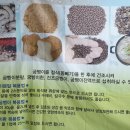 웅포농장 이미지