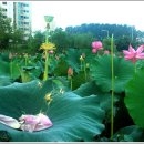 평화동-08 이미지