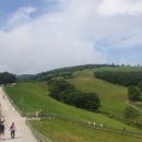 연사랑 목장 이미지