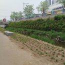 온양1동 시민로 이미지