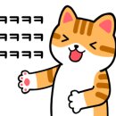 캣츠나비 이미지