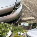 준카서비스(JCMotors) | 일본 렌트카 비용 보험 최저가 예약❤️ 후쿠오카 운전 사고 대처 후기