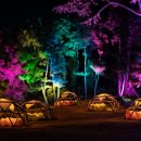 목마노래연습장 이미지