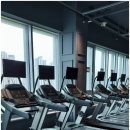 머슬뷰 짐 이미지