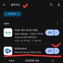 블루버드 이미지