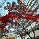 계남초교 이미지