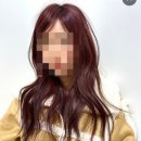 콩다니