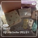 리틀원 | 멜로우앤 12월 리틀원박스 언박싱 후기