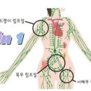 호텔 더 힐 이미지